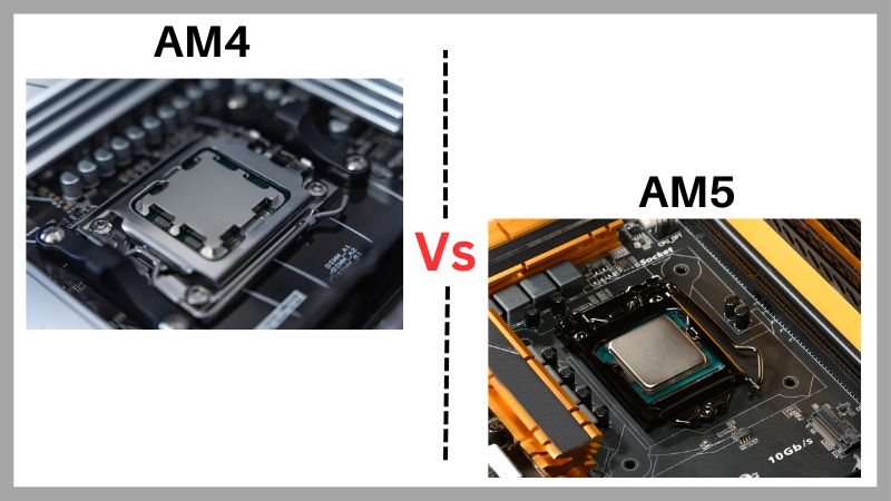 AM4 contre AM5 : Comment faire le bon choix ?