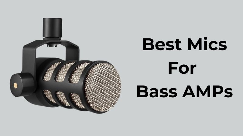 Les 5 Meilleurs Microphones pour Amplificateurs de Basse Les 5 Meilleurs Microphones pour Amplificateurs de Basse