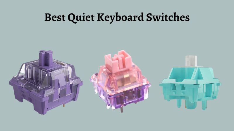 8 Meilleurs Avis sur les Interrupteurs de Clavier Silencieux