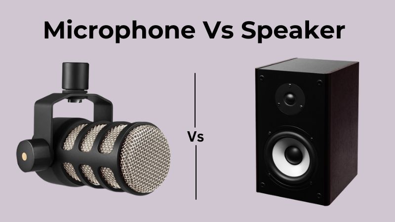 Microphone contre Haut-Parleur : Quelles sont les principales différences ?