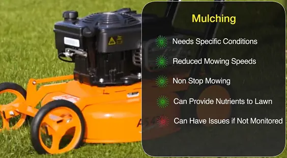 mulching