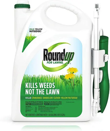 Roundup For Lawns1
